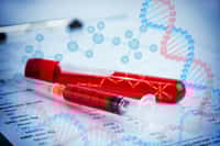 L’hémophilie est une maladie héréditaire mais peut aussi survenir spontanément. © blindturtle, Fotolia